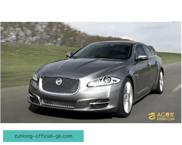 尊龙官网最新动态解析及品牌发展趋势全方位介绍