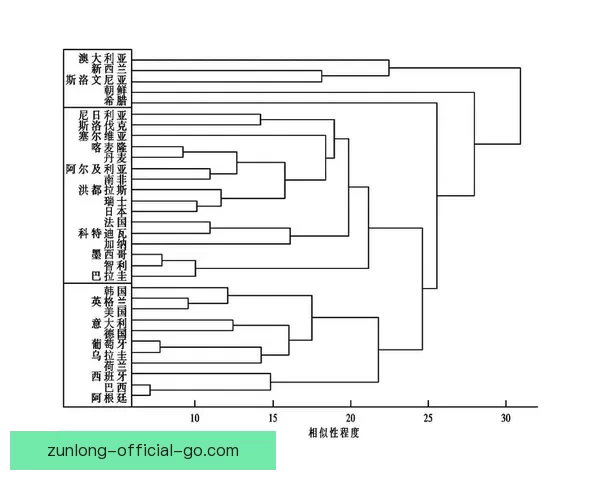 世界杯比分竞猜策略深度解析与实用预测方法指南